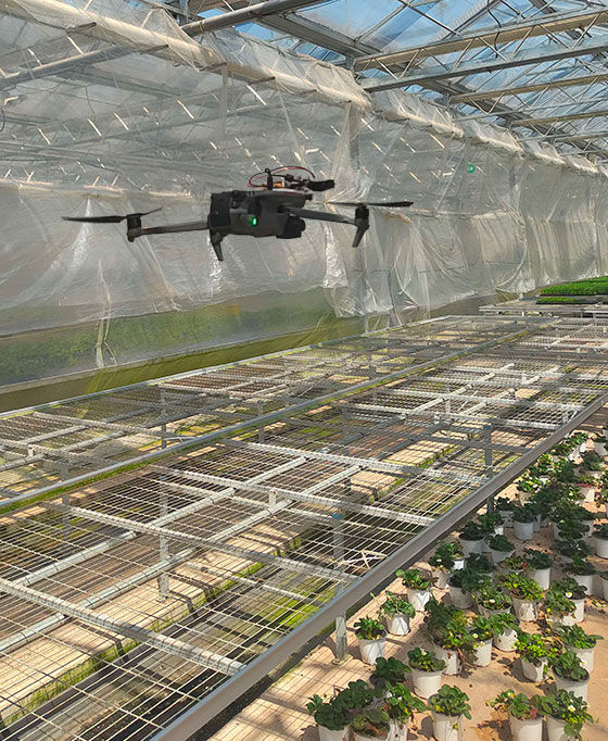 Where collaboration sparks new ideas