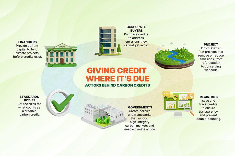 Giving credit where it’s due: Actors behind carbon credits