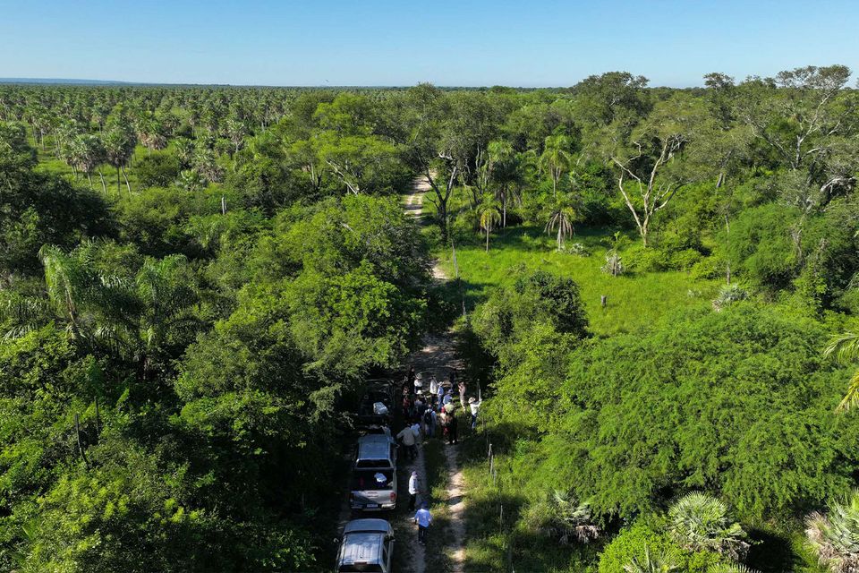 Grassland restoration project in Boomitra