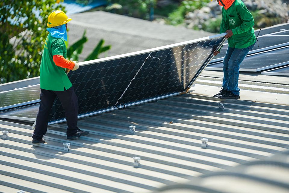 Apart from reforestation, carbon credits can also fund projects involving renewable energy.